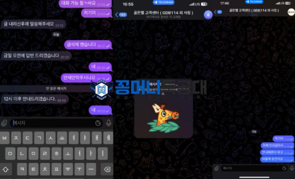 골든벨.png
