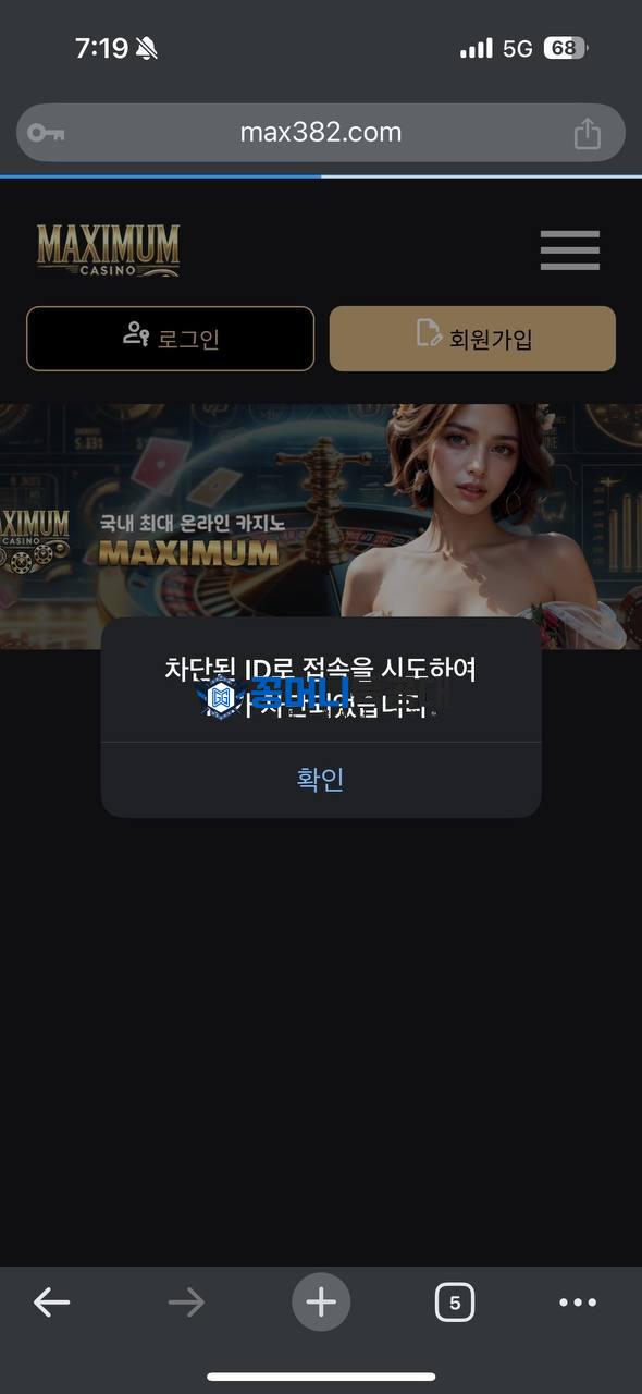 맥시멈2.jpg