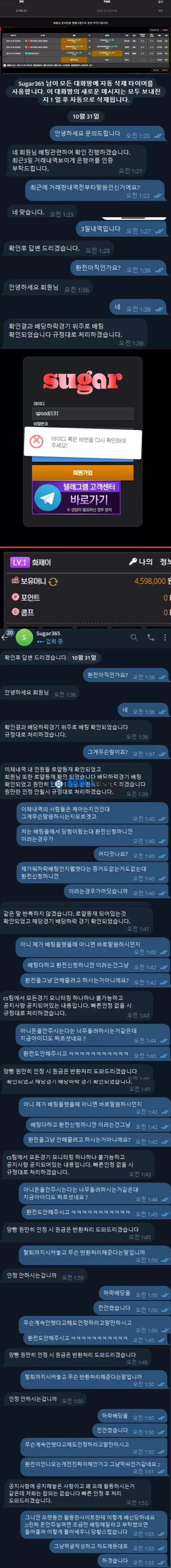 슈가.jpg