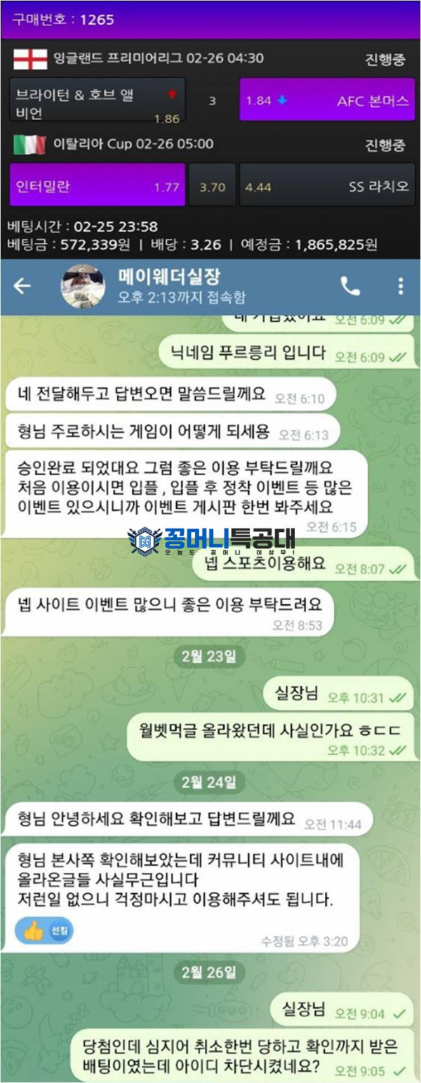 월벳.jpg
