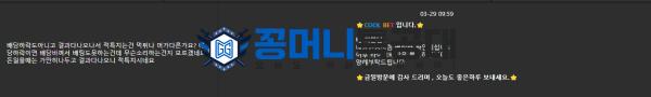 쿨벳3.png