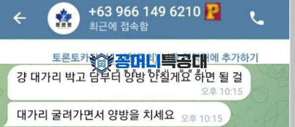 토론토.png