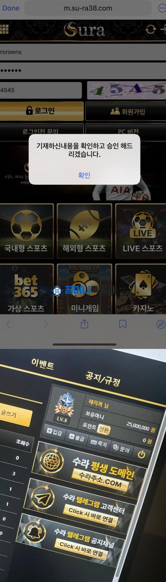 수라.png