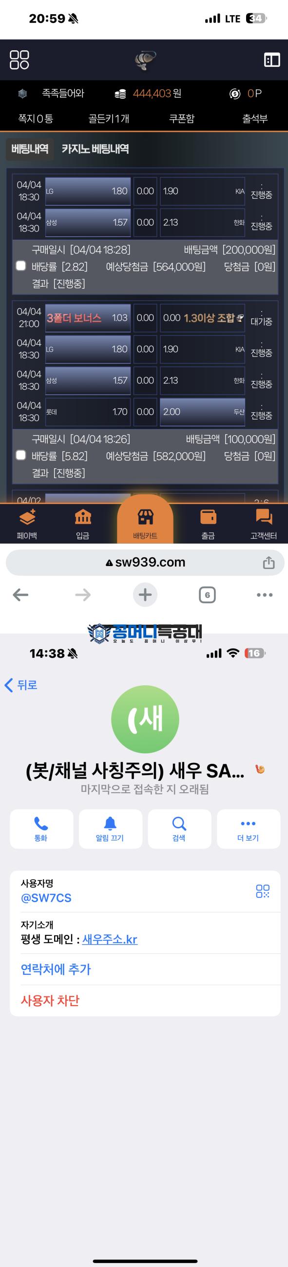새우.png
