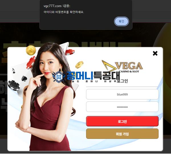 베가.png