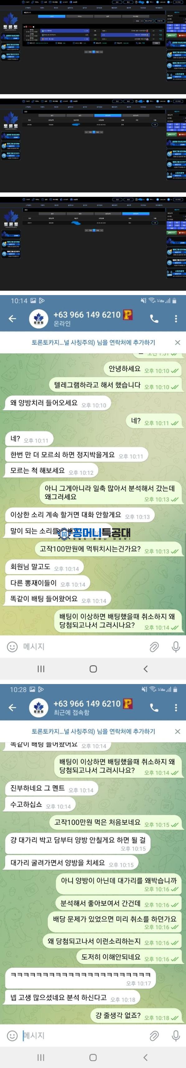 토론토.png