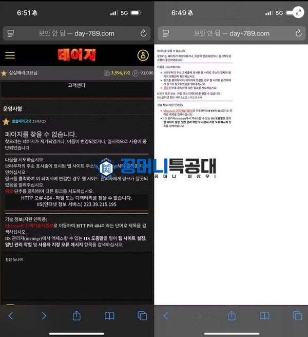 데이지.png