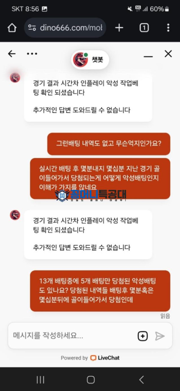 다이노카지노.png