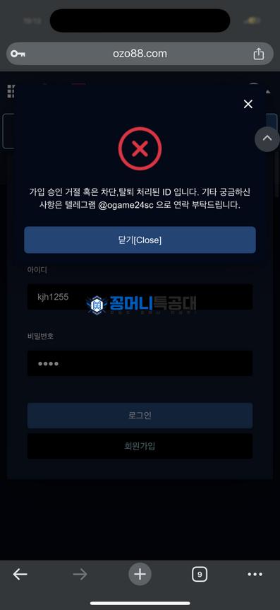 오징어.png