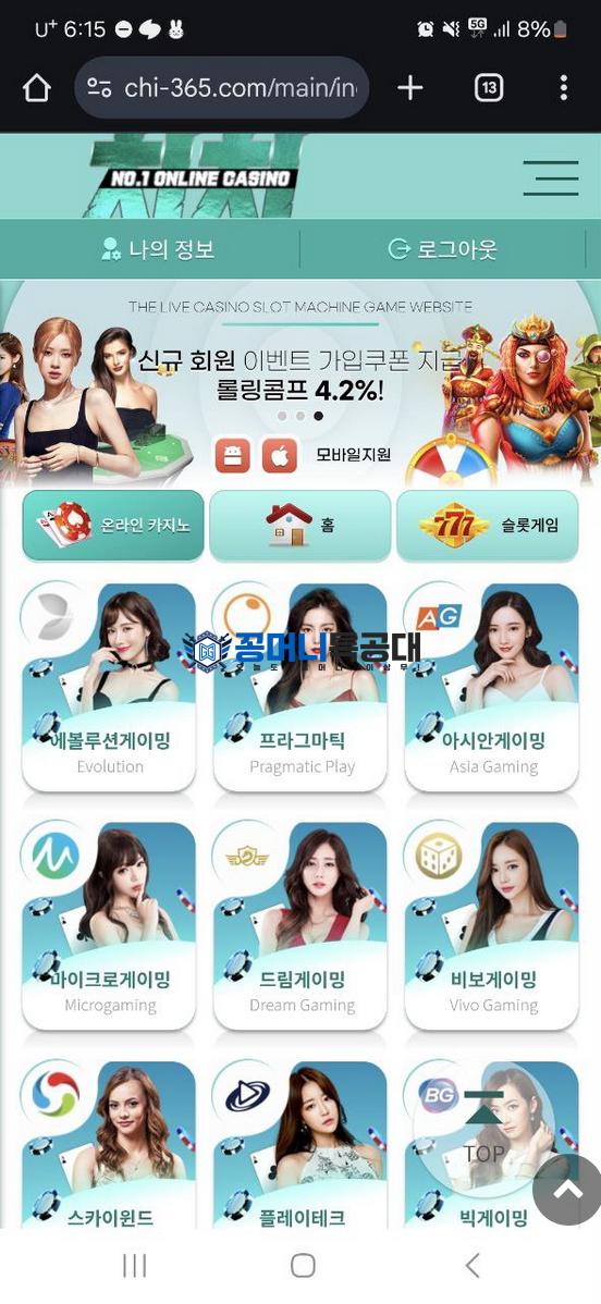 치치.png