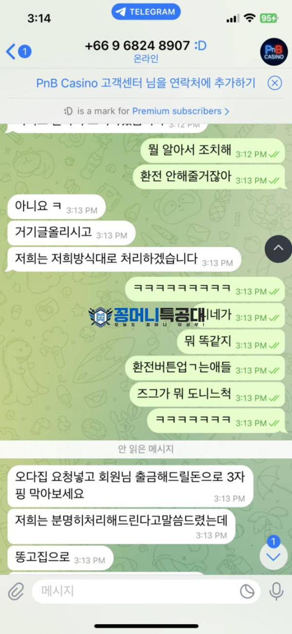 피엔비.png