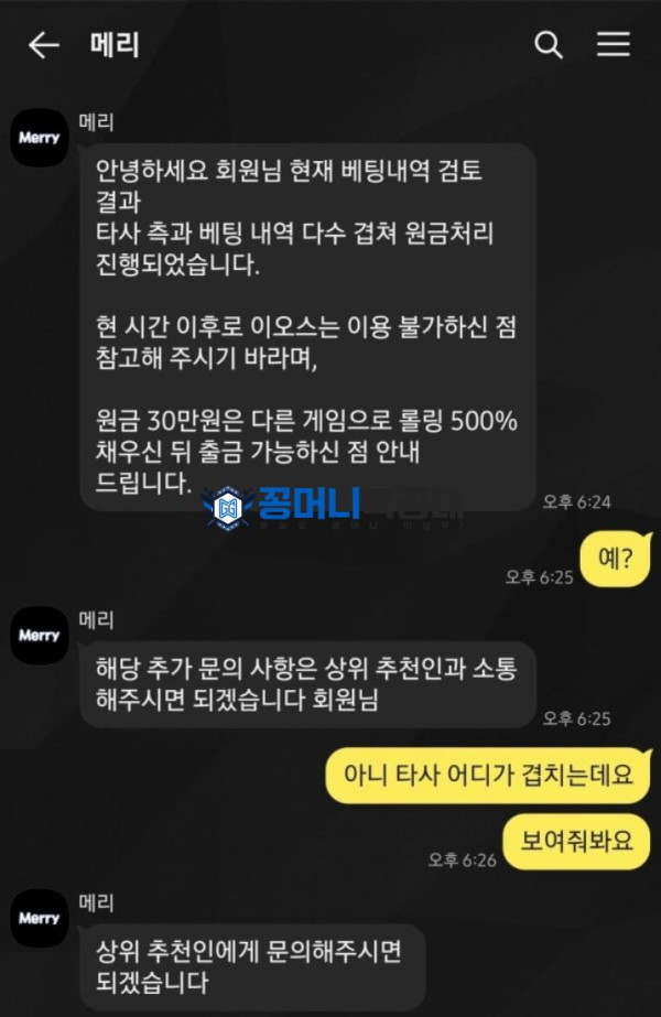 메리.png