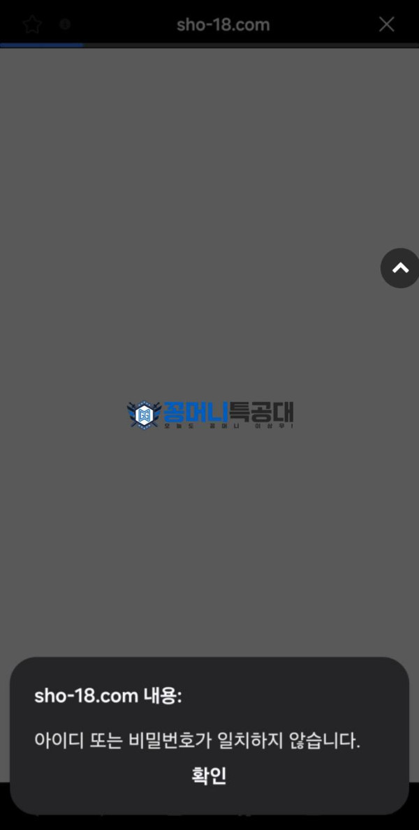 쇼군.png