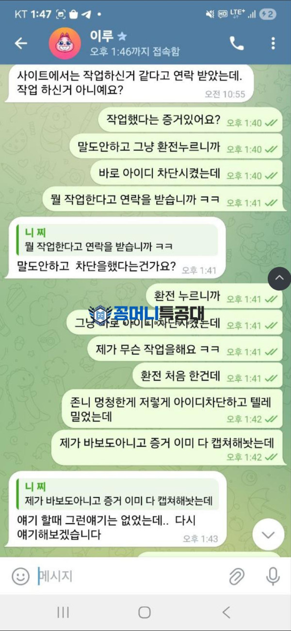 백돈.png