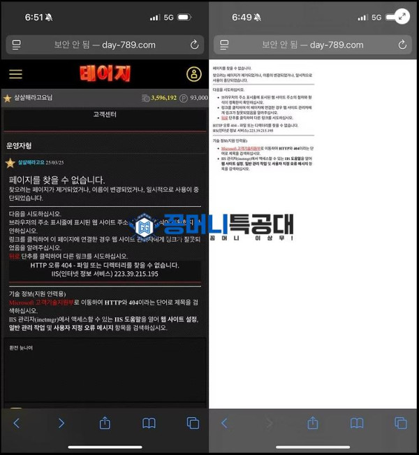 데이지.png