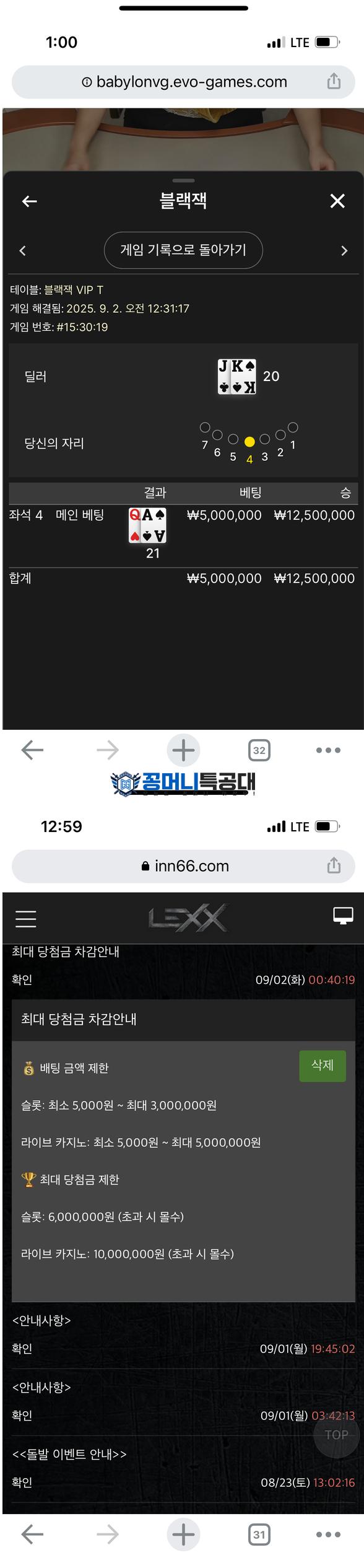 렉스.png