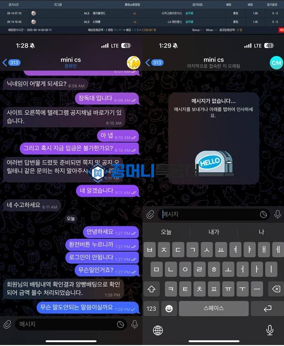 미니뱃.png