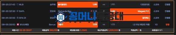 벳엔터.png