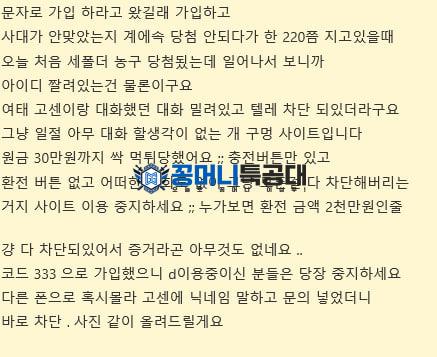라쿤.jpg