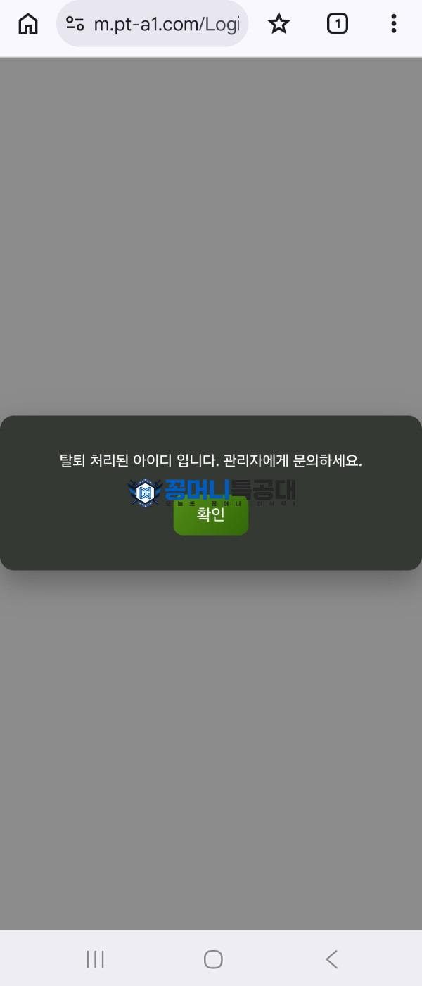 44444.jpg